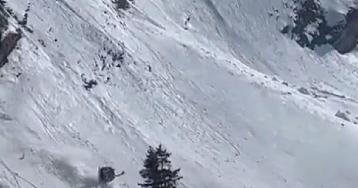 Image from Daily Express