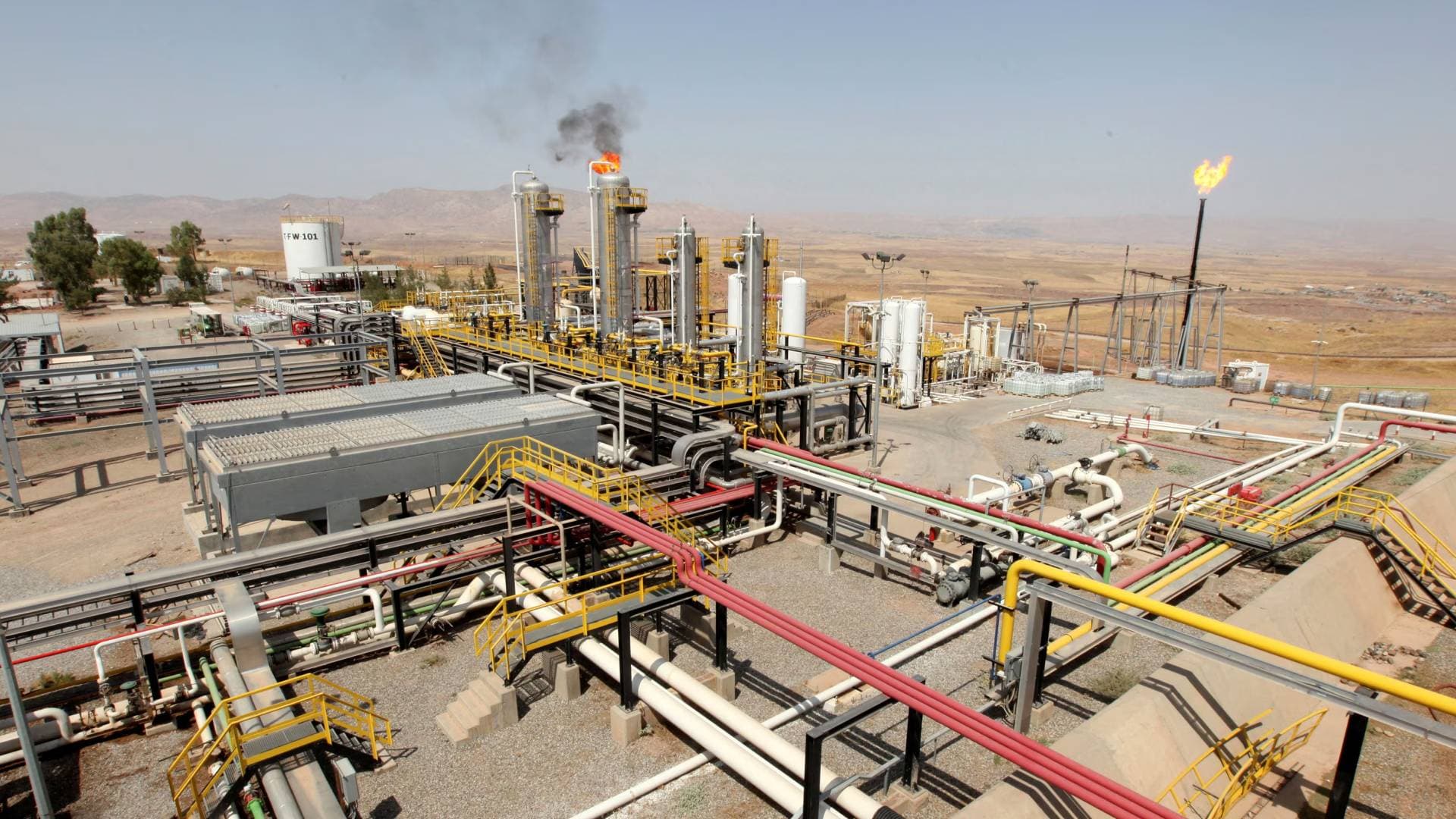 Image from Roya News