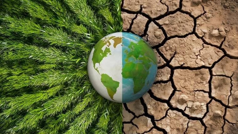 Youth Lead Global Push for Multilingual Education to Save Endangered Languages and Indigenous Environmental Knowledge on International Mother Language Day